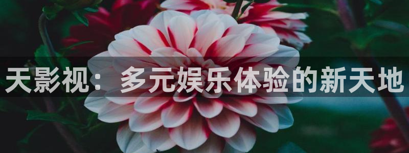飄雪影院熱門電視劇